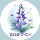 КЗ  «Дмитрівський заклад дошкільної освіти (ясла-садок) комбінованого типу «Дзвіночок» Дмитрівської сільської ради